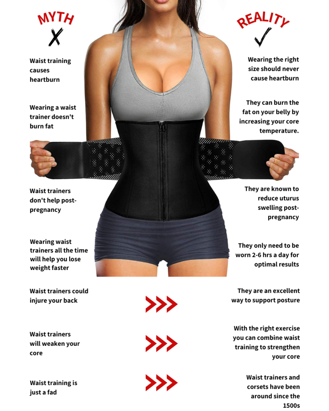Waist training infographic featuring body shaping and shapewear facts